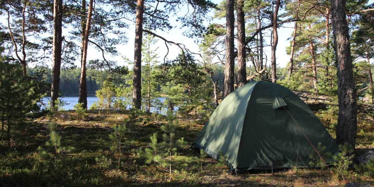 Green camping tent set up in a pine forest beside a lake