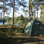 Green camping tent set up in a pine forest beside a lake