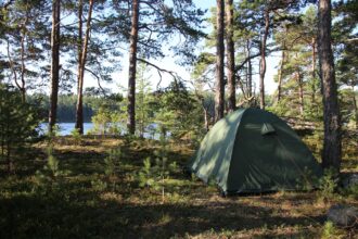 Green camping tent set up in a pine forest beside a lake