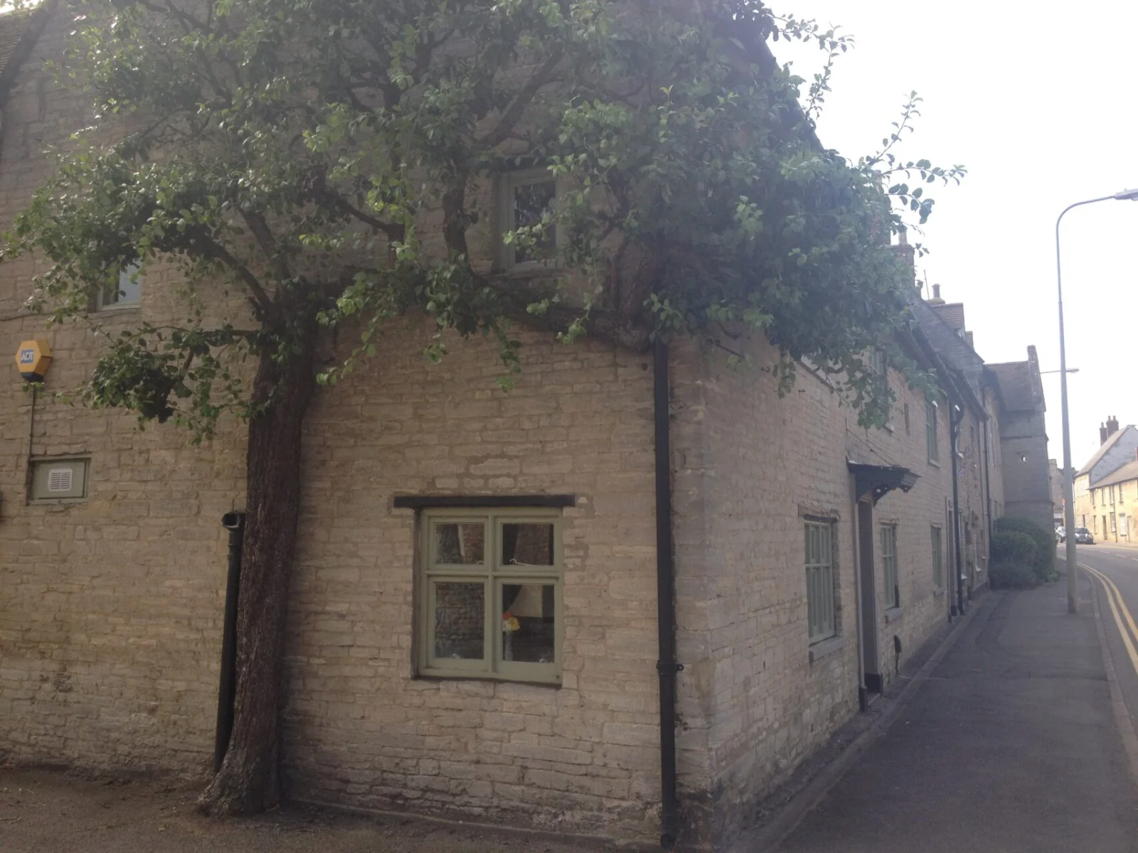 Pear Tree Cottage with tree growing into stone wall, Higham Ferrers