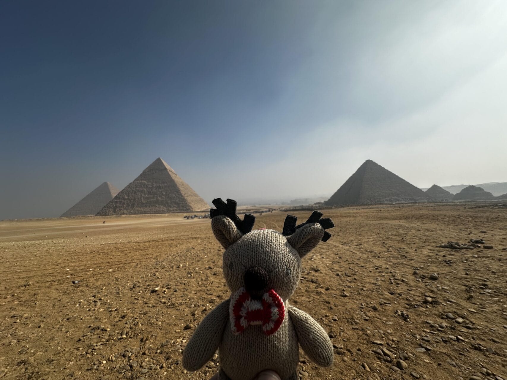 Rupert the reindeer with the Pyramids of Giza in the background