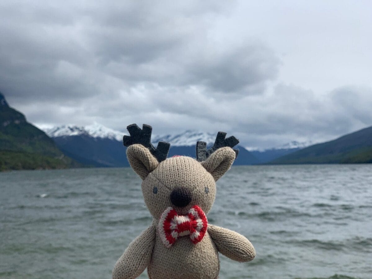 Rupert the reindeer by the water in Ushuaia, Argentina