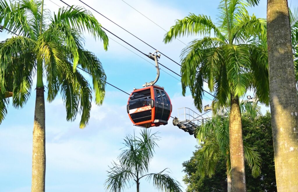 Orange and black cable car gondola suspended on cables between palm trees against blue sky in Singapore