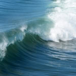 Close-up of a powerful ocean wave curling and breaking, illustrating the importance of tide time apps for coastal activities.