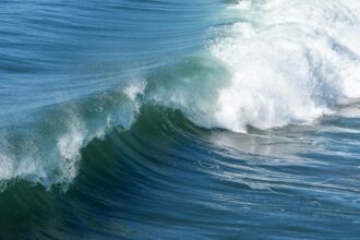 Close-up of a powerful ocean wave curling and breaking, illustrating the importance of tide time apps for coastal activities.
