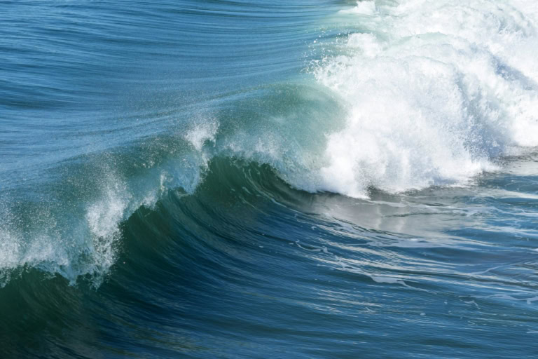 Coastal Confidence: The Best Tide Time Apps 2026