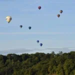 Hot air balloons rising over trees at the Bristol International Balloon Fiesta