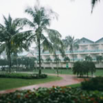 Tropical resort during rainy season with palm trees and heavy rain