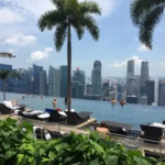 Infinity pool overlooking the Singapore skyline with palm trees and skyscrapers