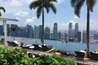Infinity pool overlooking the Singapore skyline with palm trees and skyscrapers
