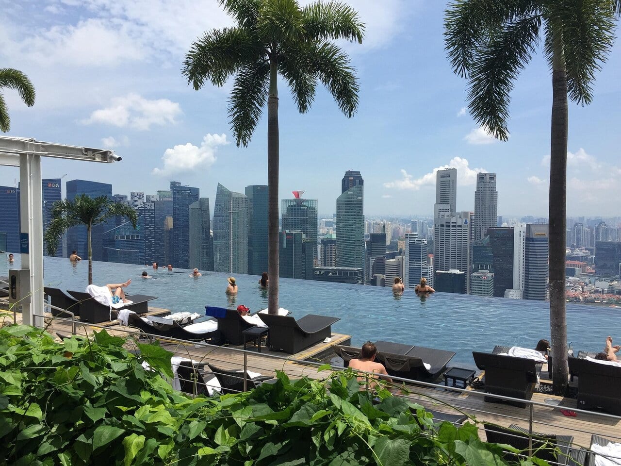 Infinity pool overlooking the Singapore skyline with palm trees and skyscrapers
