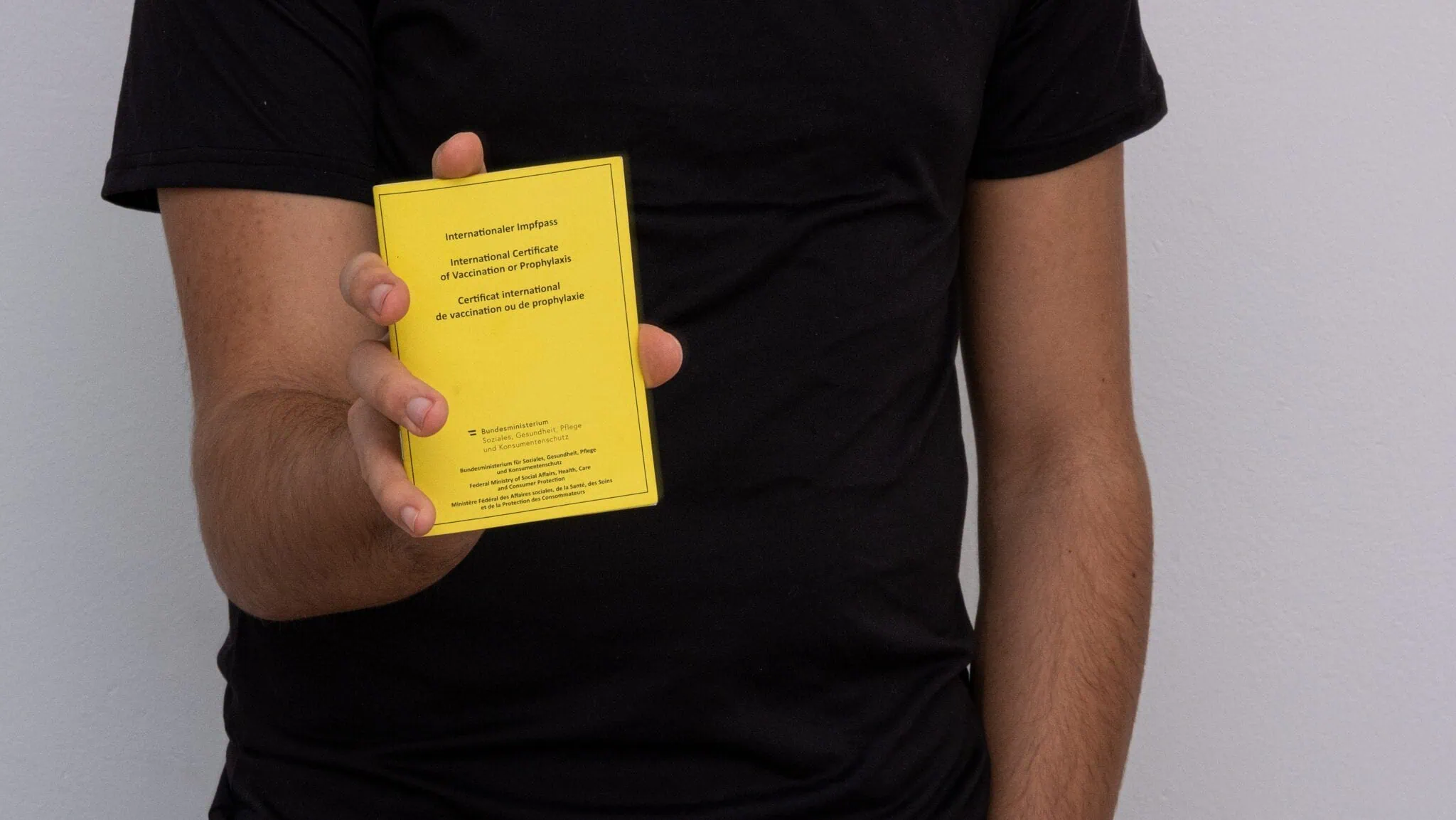 yellow fever vaccination certificate yellow card international travel proof