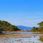 Agistri coastline nature Saronic Islands near Aegina