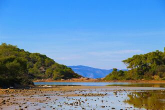 Agistri coastline nature Saronic Islands near Aegina