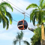 Singapore Cable Car to Sentosa Island passing palm trees