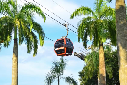 Singapore Cable Car to Sentosa Island passing palm trees