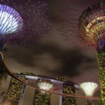 Gardens by the Bay Supertree Grove at night with Marina Bay Sands skyline Singapore