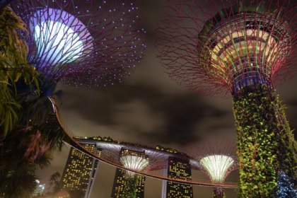 Gardens by the Bay Supertree Grove at night with Marina Bay Sands skyline Singapore