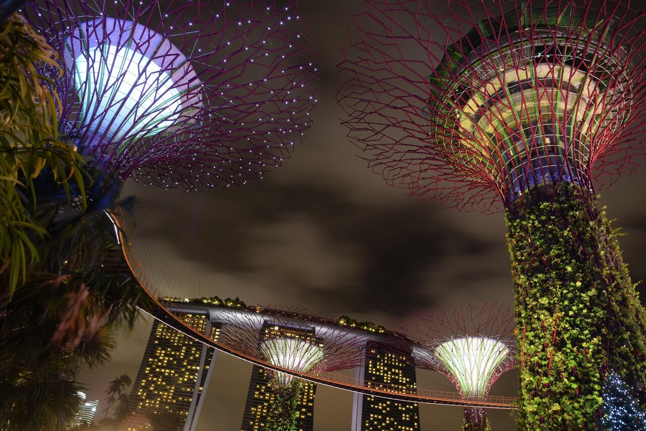 Gardens by the Bay Supertree Grove at night with Marina Bay Sands skyline Singapore