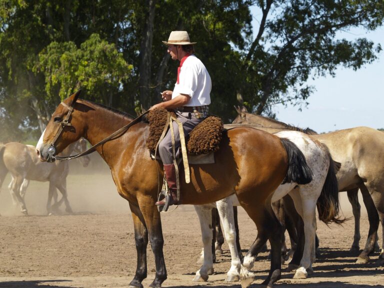 Best Day Trips from Buenos Aires: Tigre, Uruguay, Gaucho Ranches & More