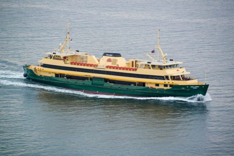 Seasickness Travel Guide: Ferry, Cruise & Motion Sickness Tips
