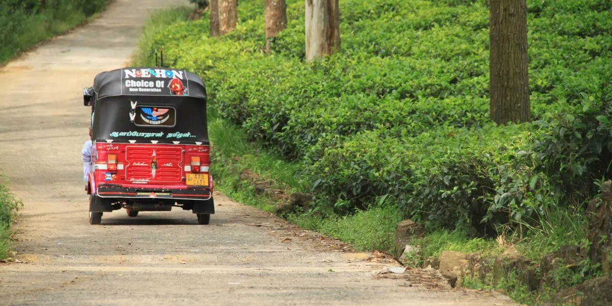 Traditional Sri Lankan tuk tuk travelling through tea plantations