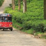 Traditional Sri Lankan tuk tuk travelling through tea plantations