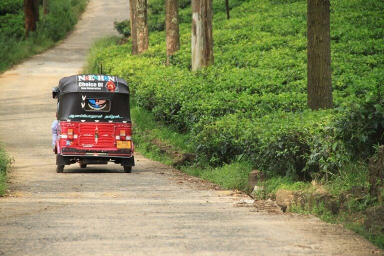 Traditional Sri Lankan tuk tuk travelling through tea plantations