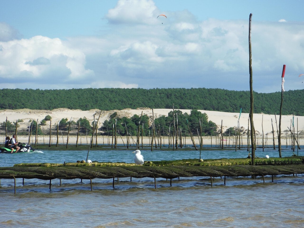 Oyster beds and sand dunes at Arcachon Bay near Bordeaux, France