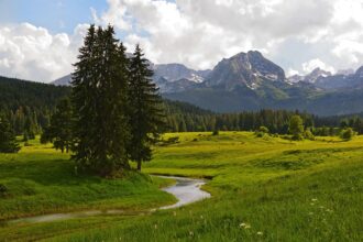 Mountain meadow and peaks in Durmitor National Park