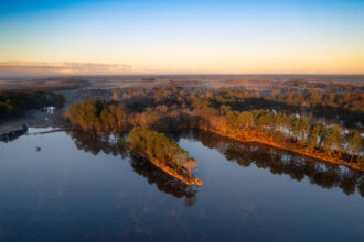 Wetlands and pine forests in Landes de Gascogne Regional Natural Park, France