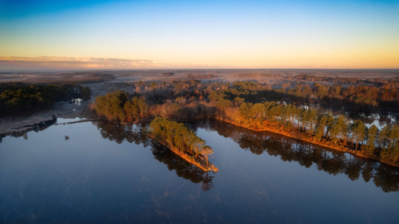 Wetlands and pine forests in Landes de Gascogne Regional Natural Park, France