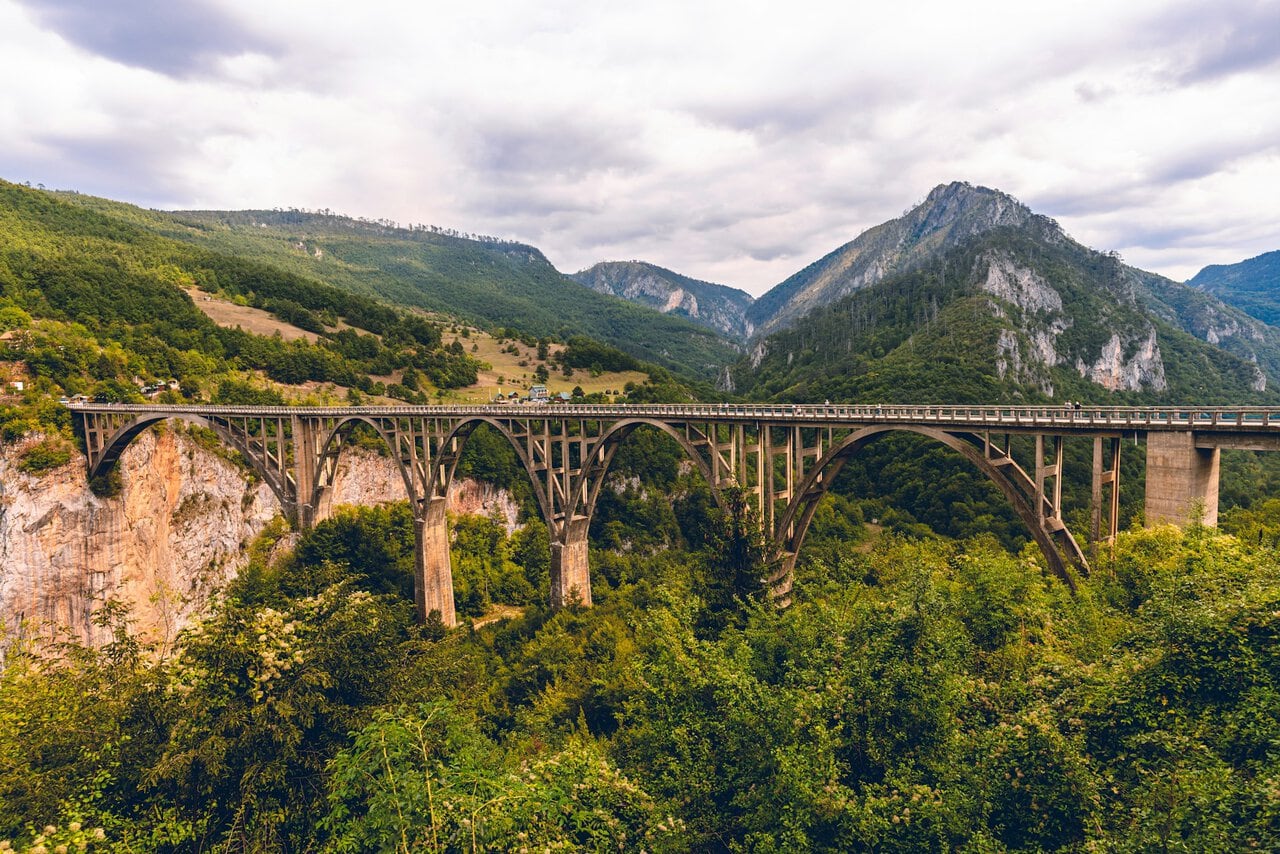 Tara River Canyon surrounded by forested mountains in Montenegro