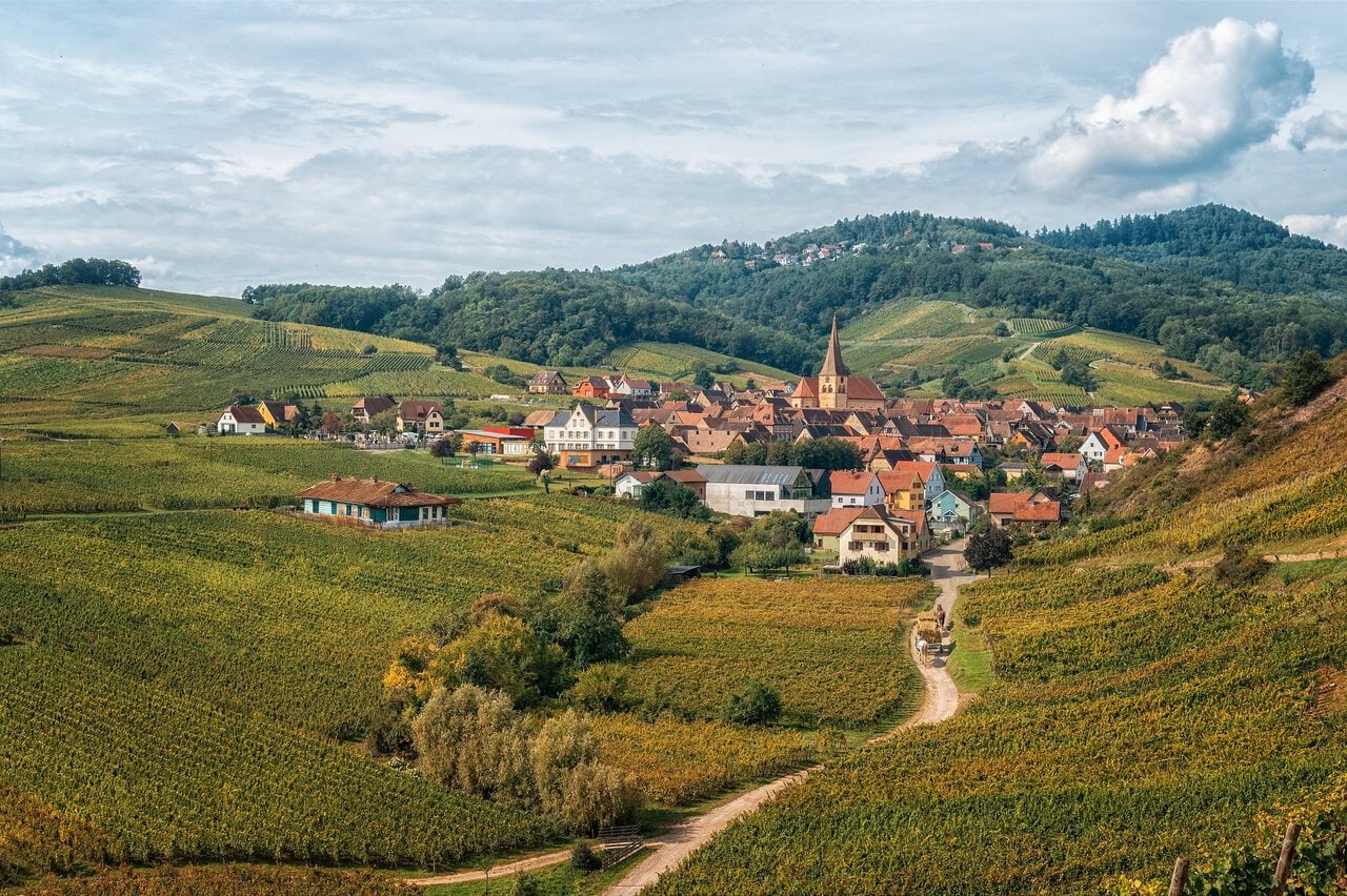 Scenic vineyard village surrounded by rolling hills on the Alsace Wine Route