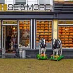 Best day trips from Rotterdam guide