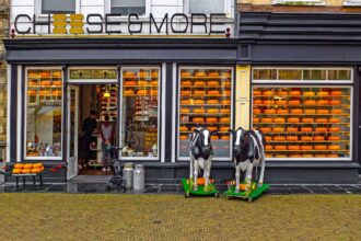 Best day trips from Rotterdam guide