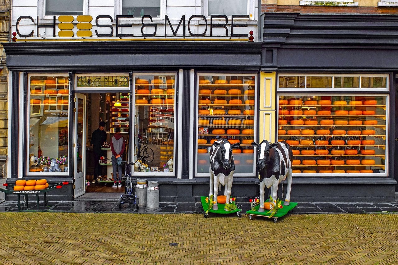 Best day trips from Rotterdam guide