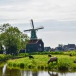 Windmill and countryside at Zaanse Schans near Amsterdam
