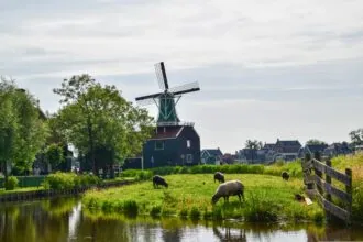 Windmill and countryside at Zaanse Schans near Amsterdam