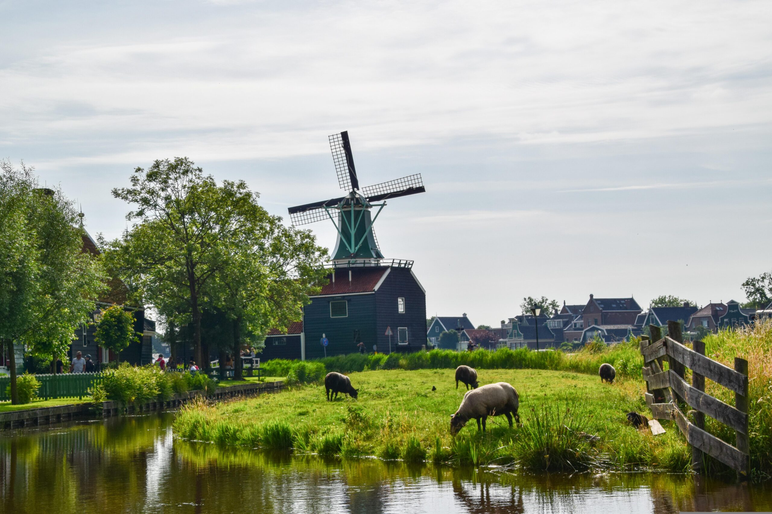 Windmill and countryside at Zaanse Schans near Amsterdam