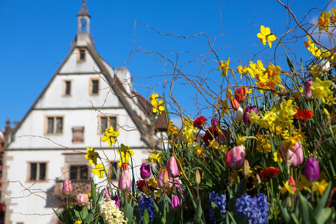 Spring flowers in front of a traditional historic building in Strasbourg