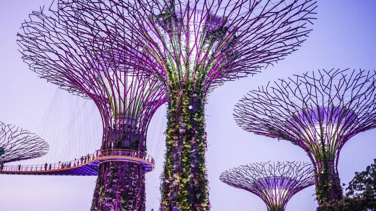 Gardens by the Bay Supertrees in Singapore, one of the best things to do in Singapore