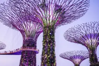 Gardens by the Bay Supertrees in Singapore, one of the best things to do in Singapore