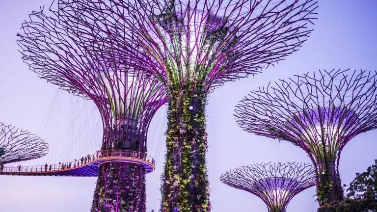 Best Things to Do in Singapore: Attractions & Experiences