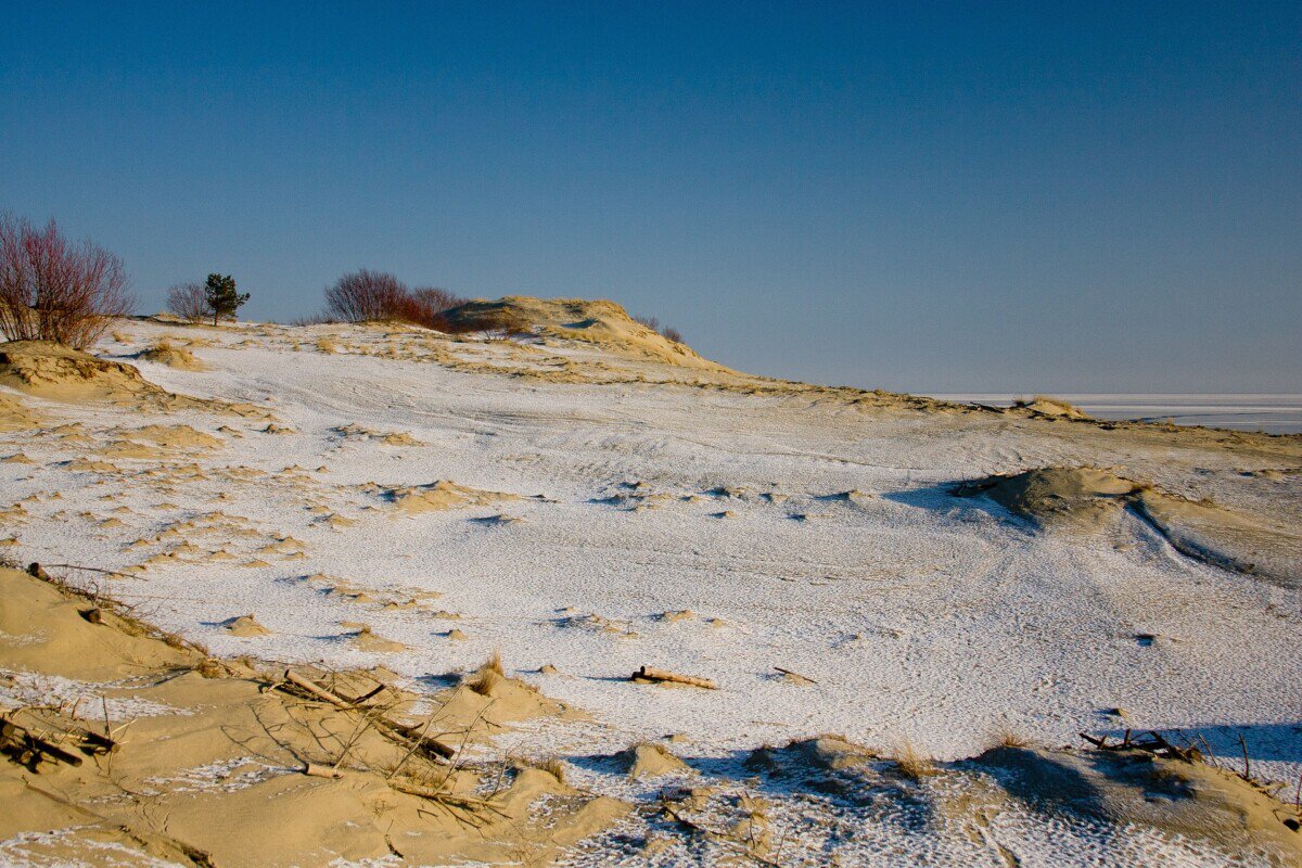 Snow-dusted sand dunes on the Curonian Spit in Lithuania
