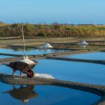 Traditional salt pans with piles of sea salt in Mallorca