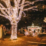 Christmas market with illuminated trees and festive stalls in Geneva