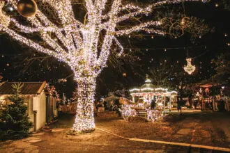 Christmas market with illuminated trees and festive stalls in Geneva