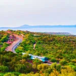 Train travelling through the Sardinian countryside near the coast